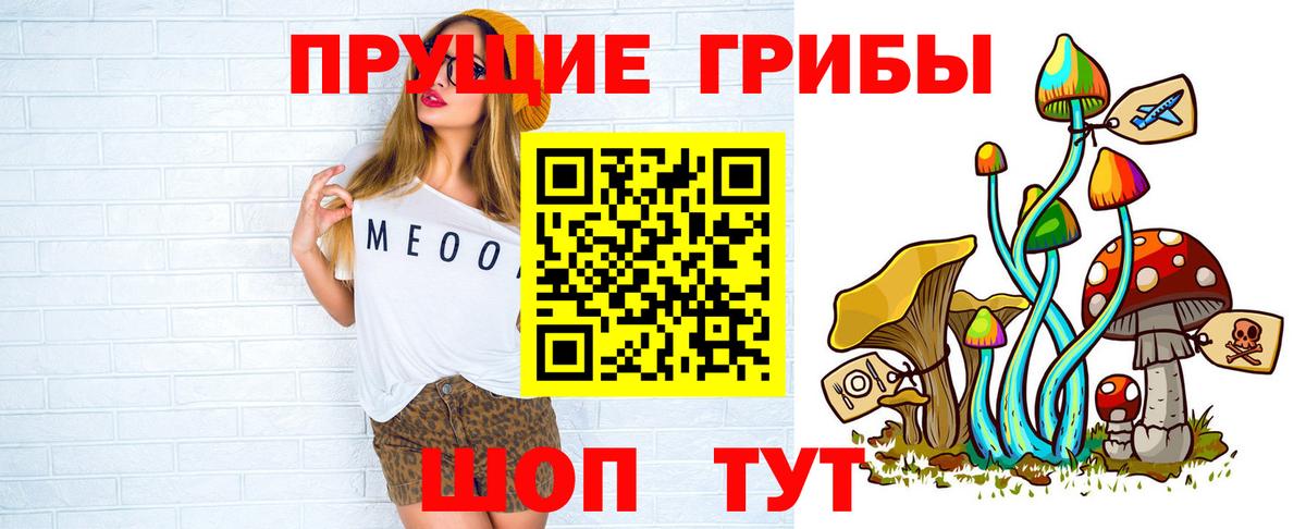 Псилоцибиновые грибы Psilocybe Назрань