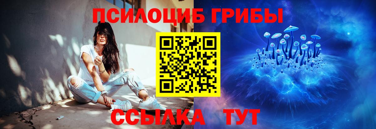 Назрань  Псилоцибиновые грибы Psilocybine cubensis  Вход с VPN  Галлюциногенные грибы прущие грибы 
